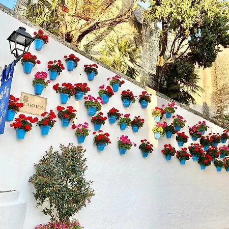 Appartement Old Town-300m From The